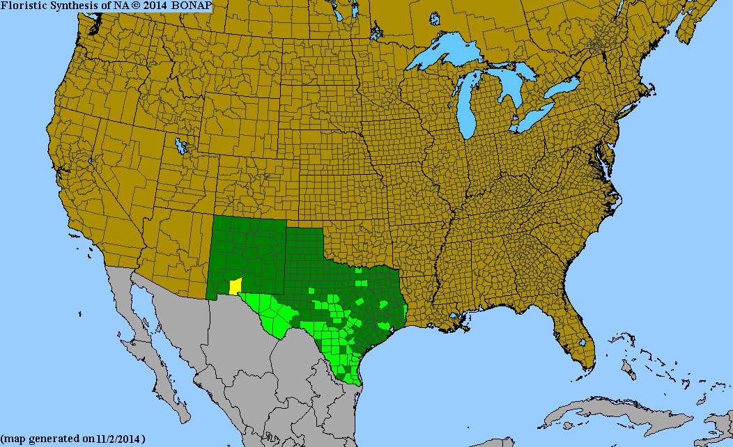 County distribution map of Aloysia gratissima var. gratissima - Whitebrush